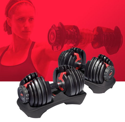 [100182] Bowflex ST552 Dumbbells (Pair) gt